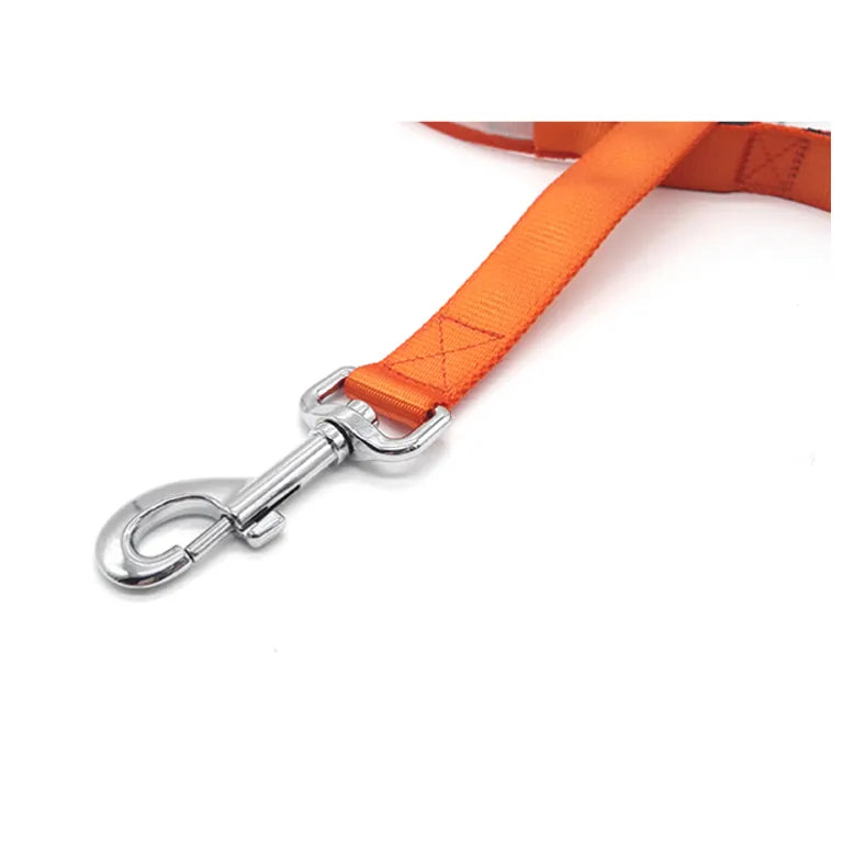 alt="Laisse LED pour chien avec lumière continue et clignotante crochet harnais et laisse"