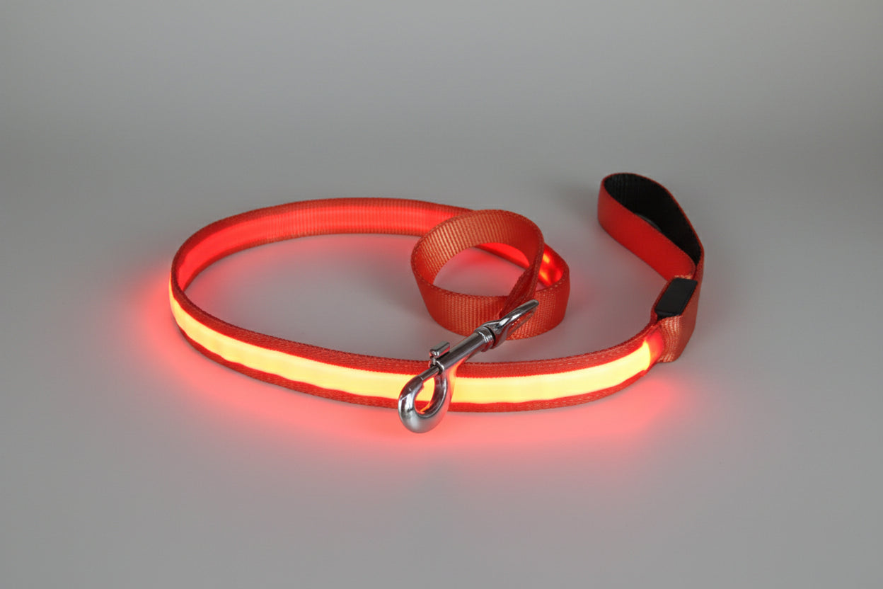 alt="Laisse LED chien visible la nuit - sécurité promenade couleur orange"

