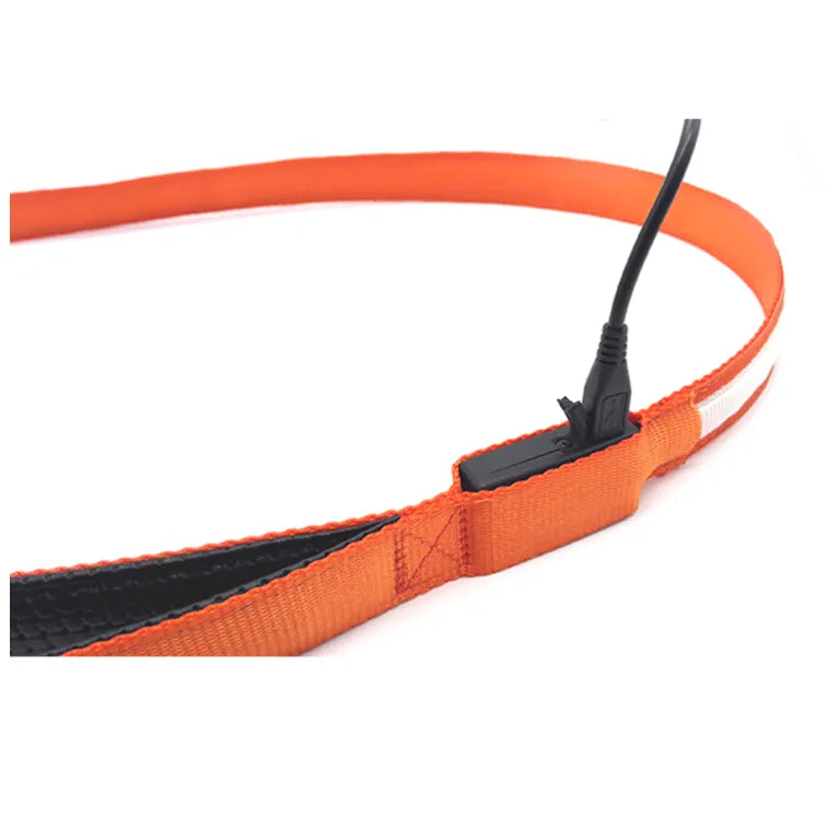 alt="Laisse lumineuse pour chien poignée ergonomique confortable rechargeable USB"