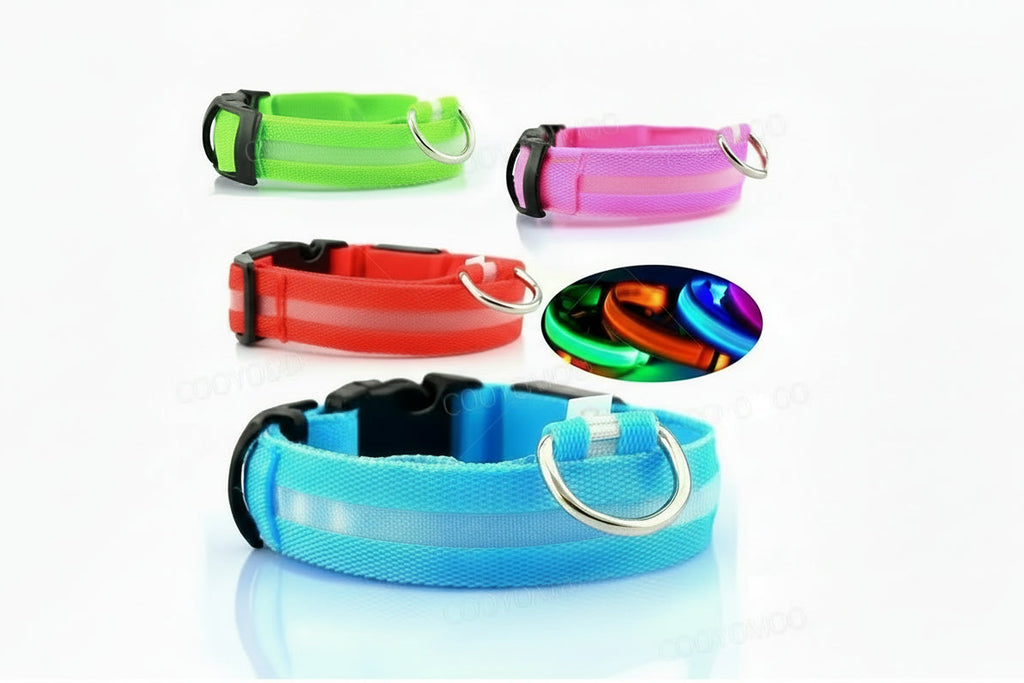 alt="Collier lumineux chien couleur sélectionnée"
