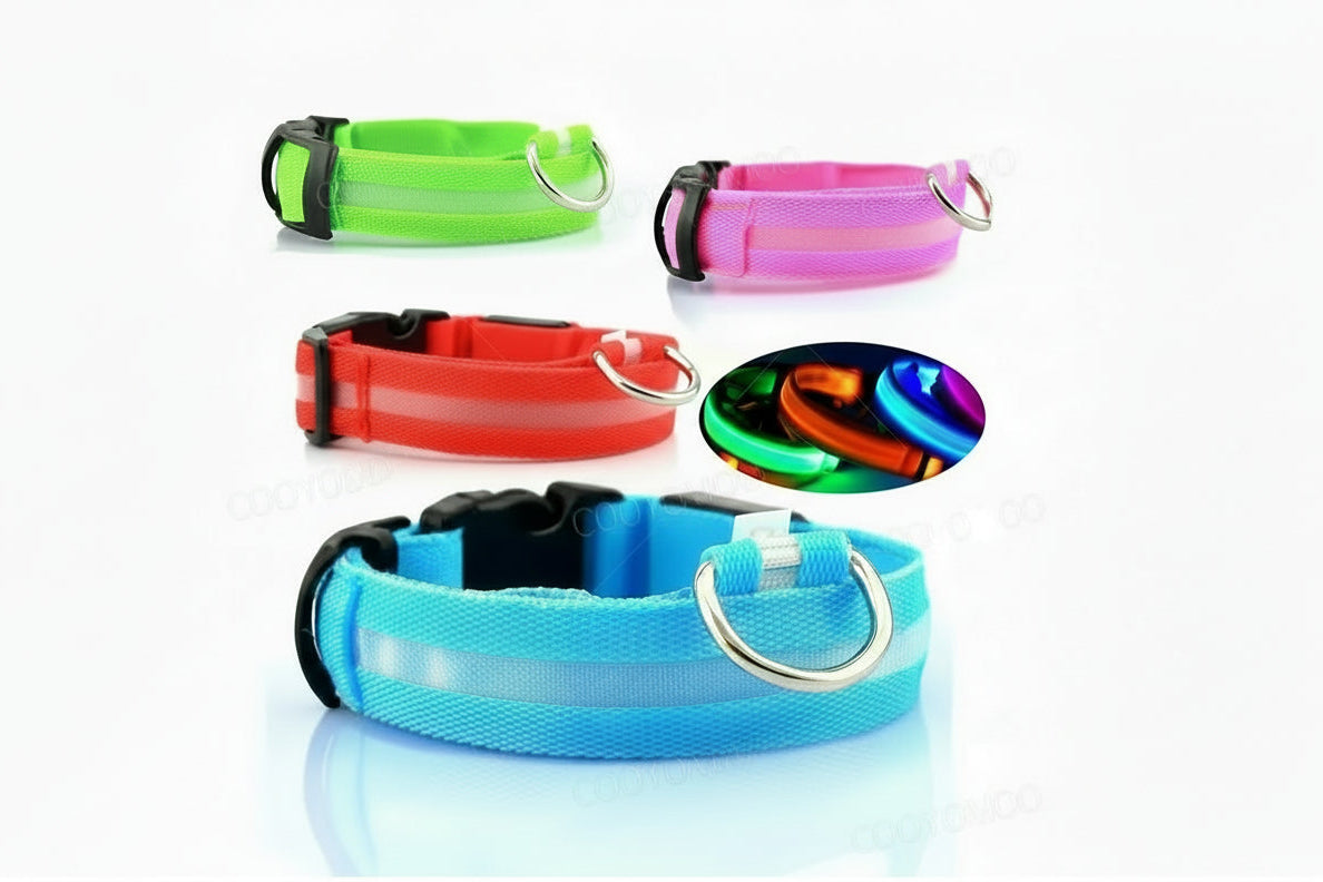 alt="Collier lumineux chien couleur sélectionnée"