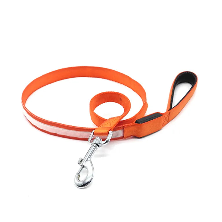 alt="Différents modes d'éclairage continue ou clignotant de la laisse LED chien"