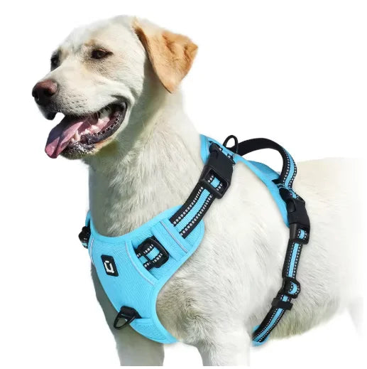 alt="Harnais robuste pour chien matériaux durables confort et sécurité couleur bleu"
