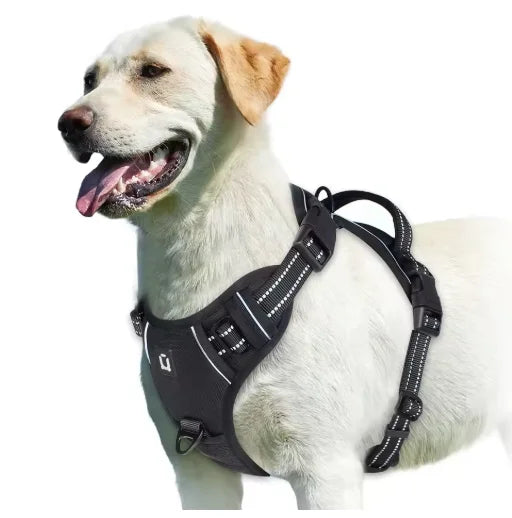 alt="Harnais chien protection haute visibilité bande réfléchissante couleur noir"