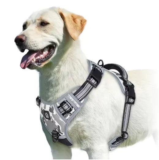 alt="Chiens promenés avec harnais rétro‑réfléchissant sécurité nuit couleur camouflage"
