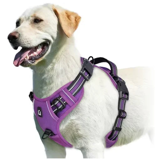 alt="Gros plan harnais rétro‑réfléchissant pour chien confort couleur violet"