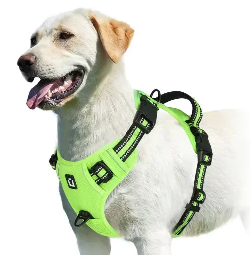 alt="Harnais pour chien rétroréfléchissant ergonomique soutien poitrine et dos couleur vert clair"
