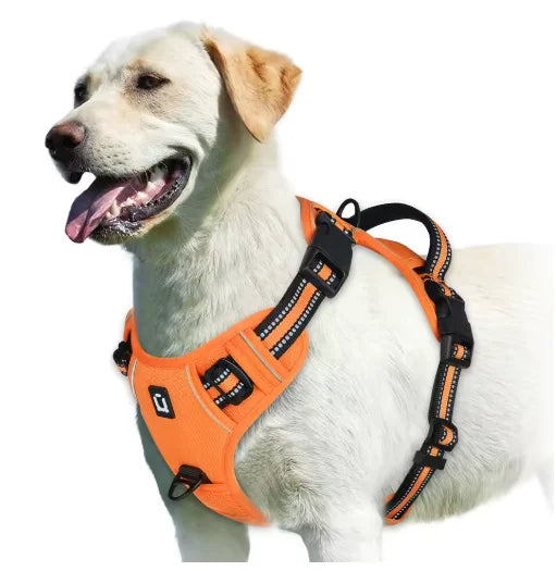 alt="Harnais pour chien ergonomique réglable facile et confortable couleur orange"