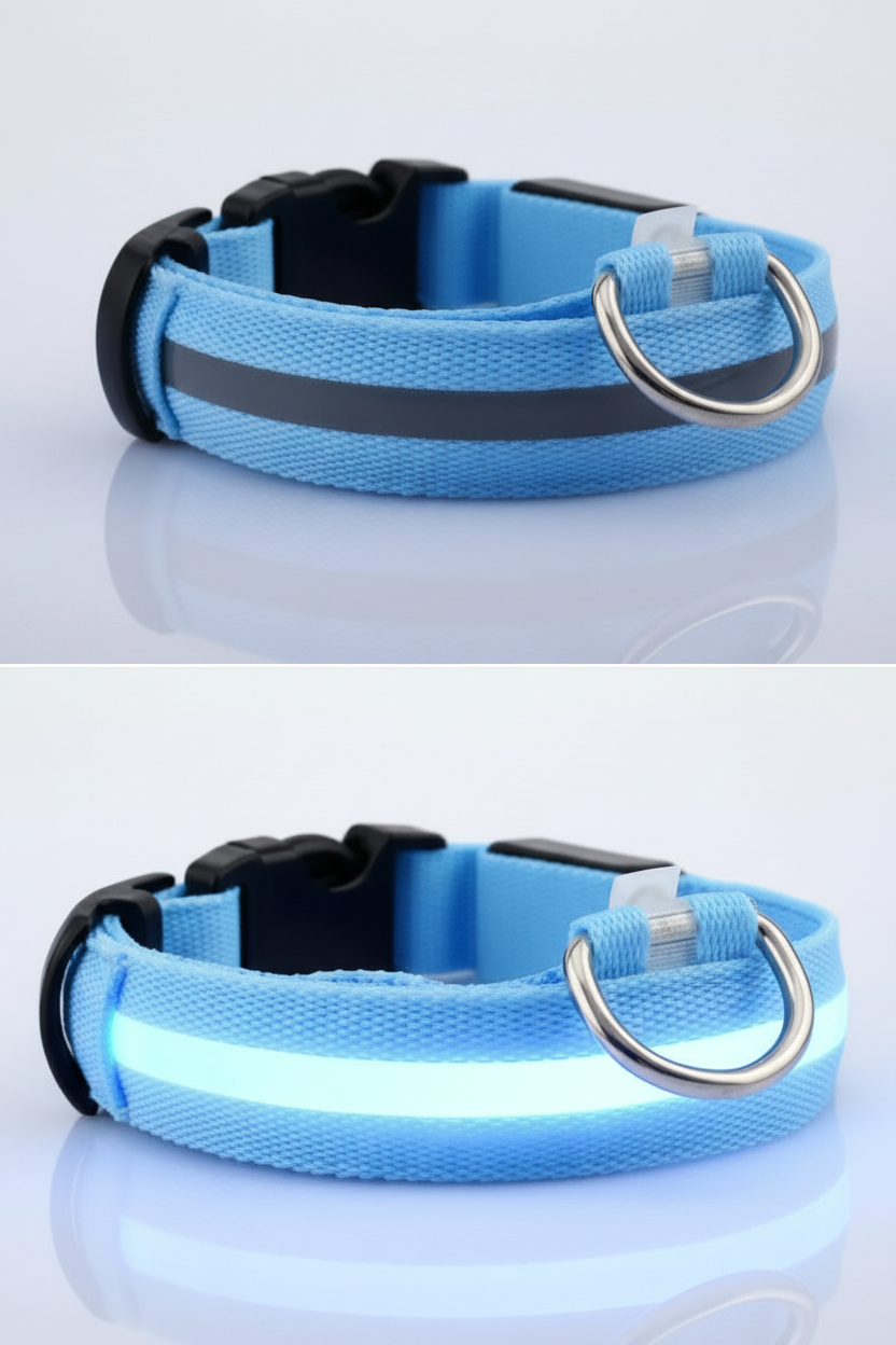 COLLIER LED LUMINEUX