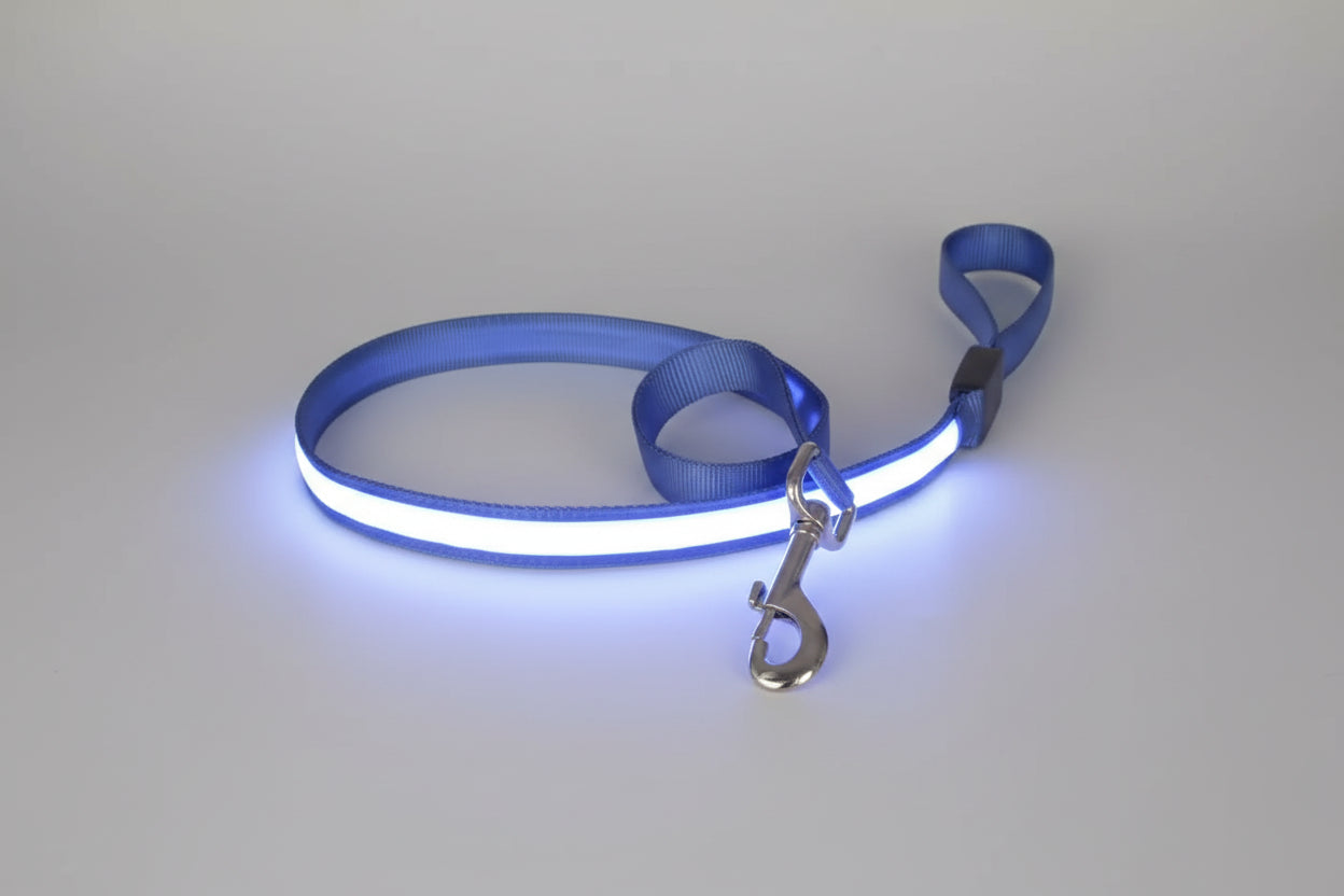 alt="Laisse pour chien avec LED rechargeable USB pratique couleur bleu"