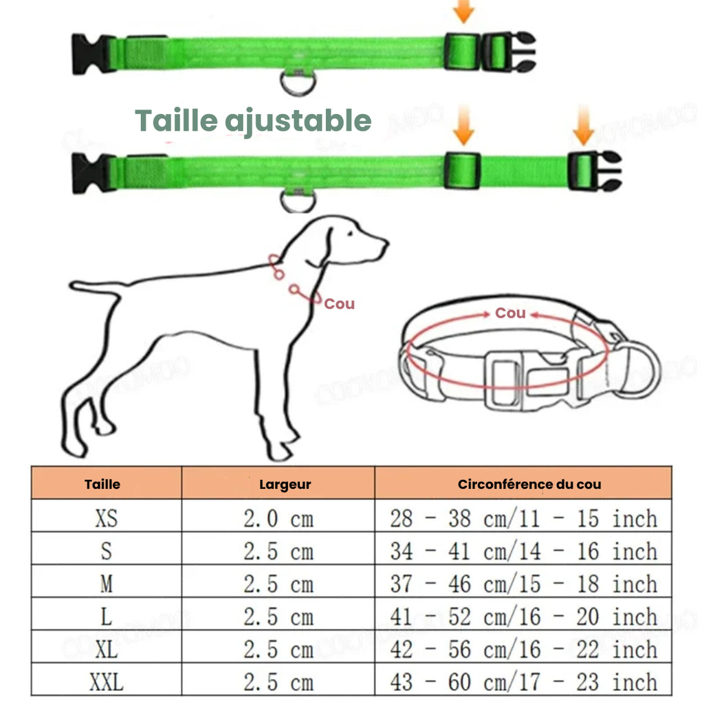 alt="Collier lumineux chien ajustable différentes tailles"