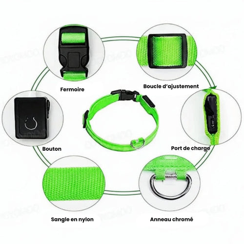 alt="Collier LED lumineux pour chien rechargeable par USB"