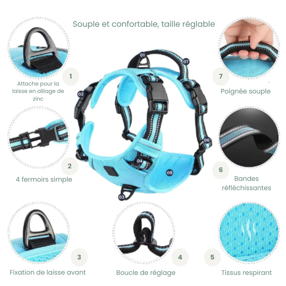 alt="Harnais chien rétro‑réfléchissant haute visibilité pour promenades nocturnes"

