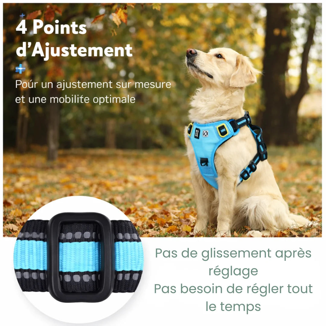alt="Harnais pour chien réglable facile à enfiler et confortable"