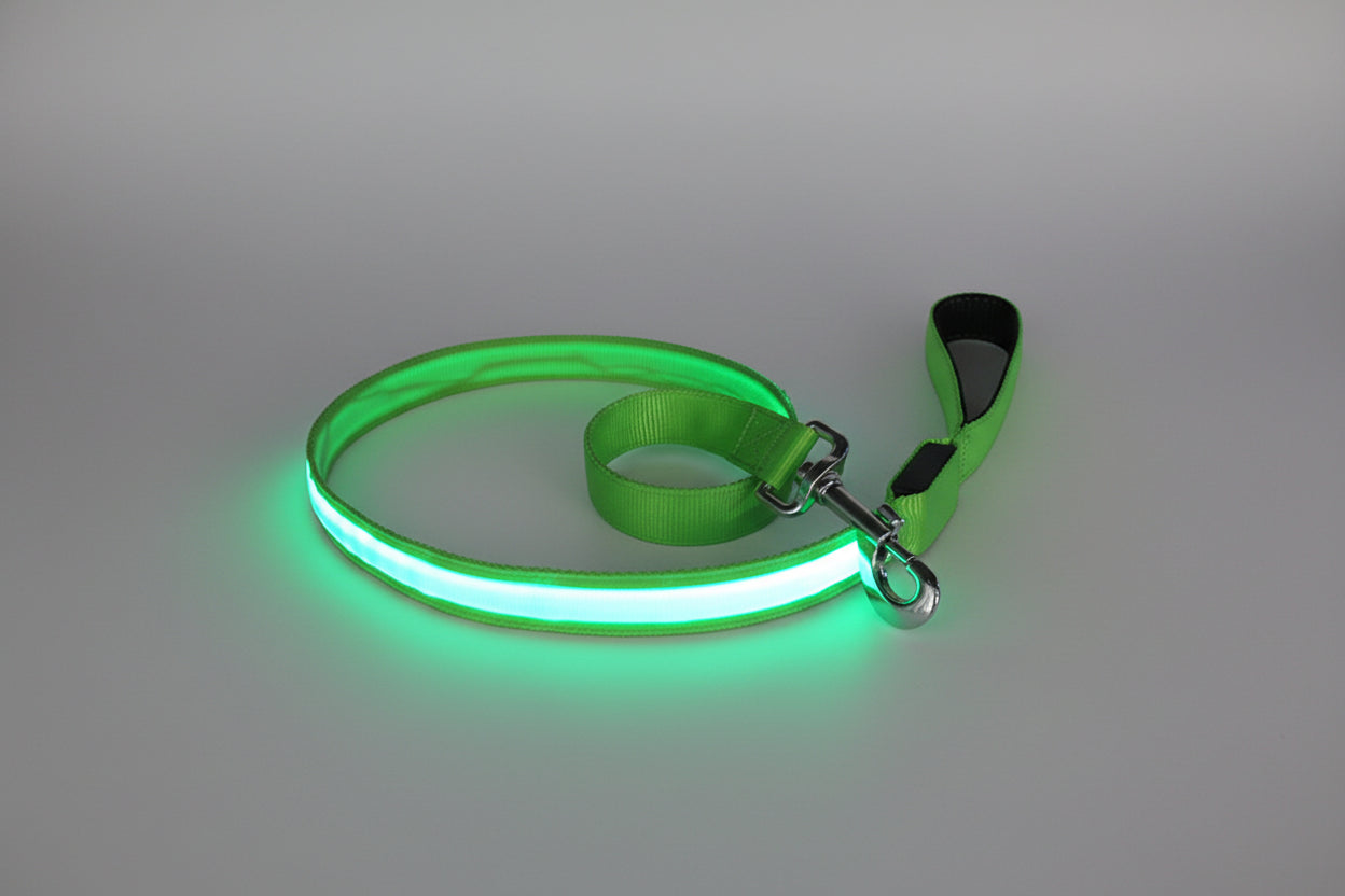 alt="Laisse LED pour chien ajustable selon taille et confort couleur vert"
