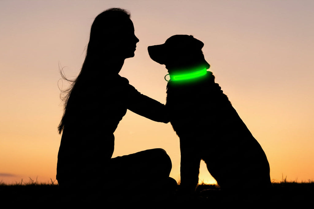 alt="Détail du collier LED pour chien durable confortable"